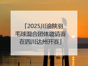 2025川渝陕羽毛球混合团体邀请赛在四川达州开赛
