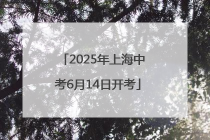 2025年上海中考6月14日开考
