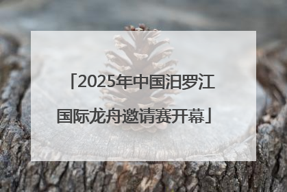 2025年中国汨罗江国际龙舟邀请赛开幕