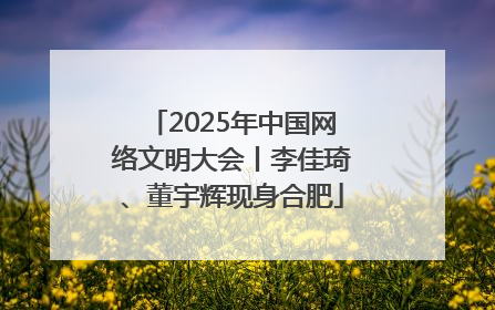 2025年中国网络文明大会丨李佳琦、董宇辉现身合肥