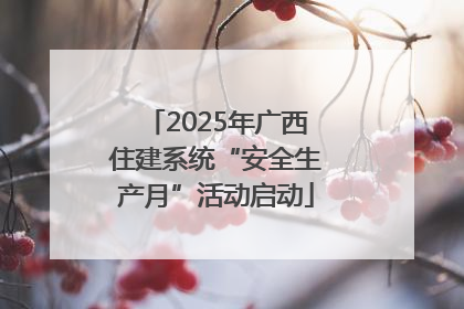 2025年广西住建系统“安全生产月”活动启动