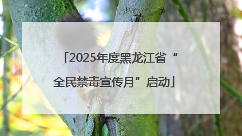 2025年度黑龙江省“全民禁毒宣传月”启动
