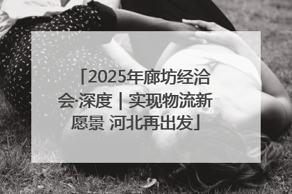2025年廊坊经洽会·深度｜实现物流新愿景 河北再出发