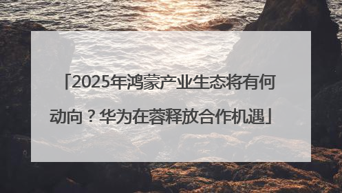 2025年鸿蒙产业生态将有何动向？华为在蓉释放合作机遇