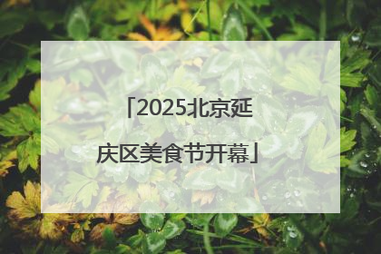 2025北京延庆区美食节开幕