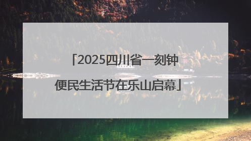 2025四川省一刻钟便民生活节在乐山启幕