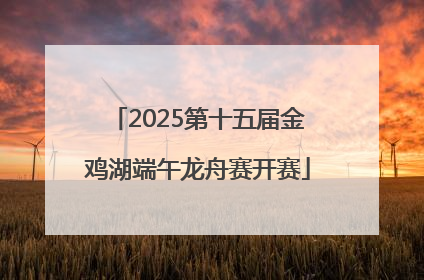 2025第十五届金鸡湖端午龙舟赛开赛