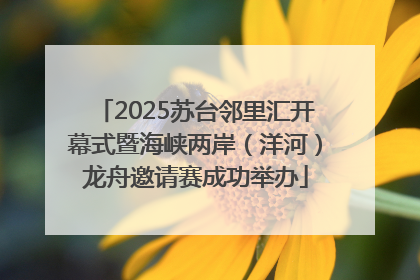 2025苏台邻里汇开幕式暨海峡两岸（洋河）龙舟邀请赛成功举办
