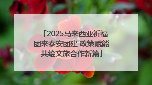 2025马来西亚祈福团来泰安团建 政策赋能共绘文旅合作新篇