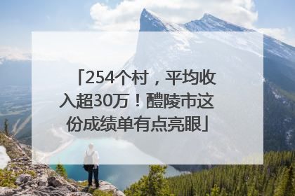 254个村，平均收入超30万！醴陵市这份成绩单有点亮眼