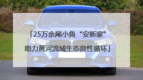 25万余尾小鱼“安新家” 助力黄河流域生态良性循环