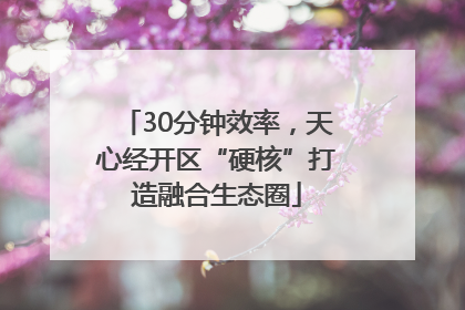 30分钟效率，天心经开区“硬核”打造融合生态圈
