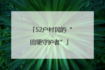 52户村民的“田埂守护者”
