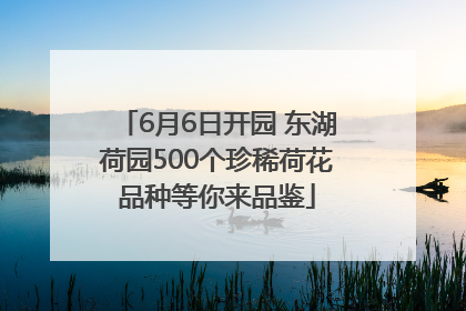 6月6日开园 东湖荷园500个珍稀荷花品种等你来品鉴