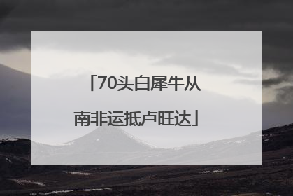 70头白犀牛从南非运抵卢旺达