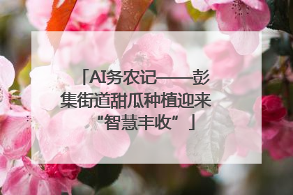AI务农记——彭集街道甜瓜种植迎来“智慧丰收”