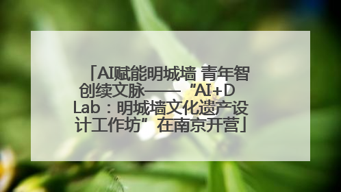 AI赋能明城墙 青年智创续文脉——“AI+D Lab：明城墙文化遗产设计工作坊”在南京开营