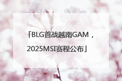 BLG首战越南GAM，2025MSI赛程公布