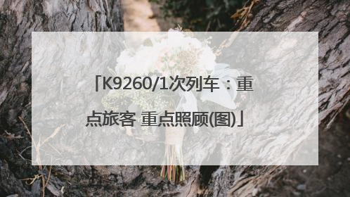 K9260/1次列车：重点旅客 重点照顾(图)