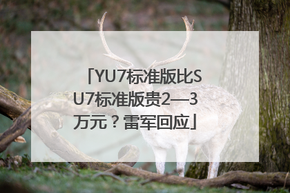 YU7标准版比SU7标准版贵2—3万元？雷军回应